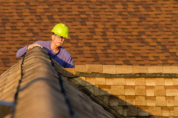 Best Roof Gutter Cleaning  in Fabens, TX